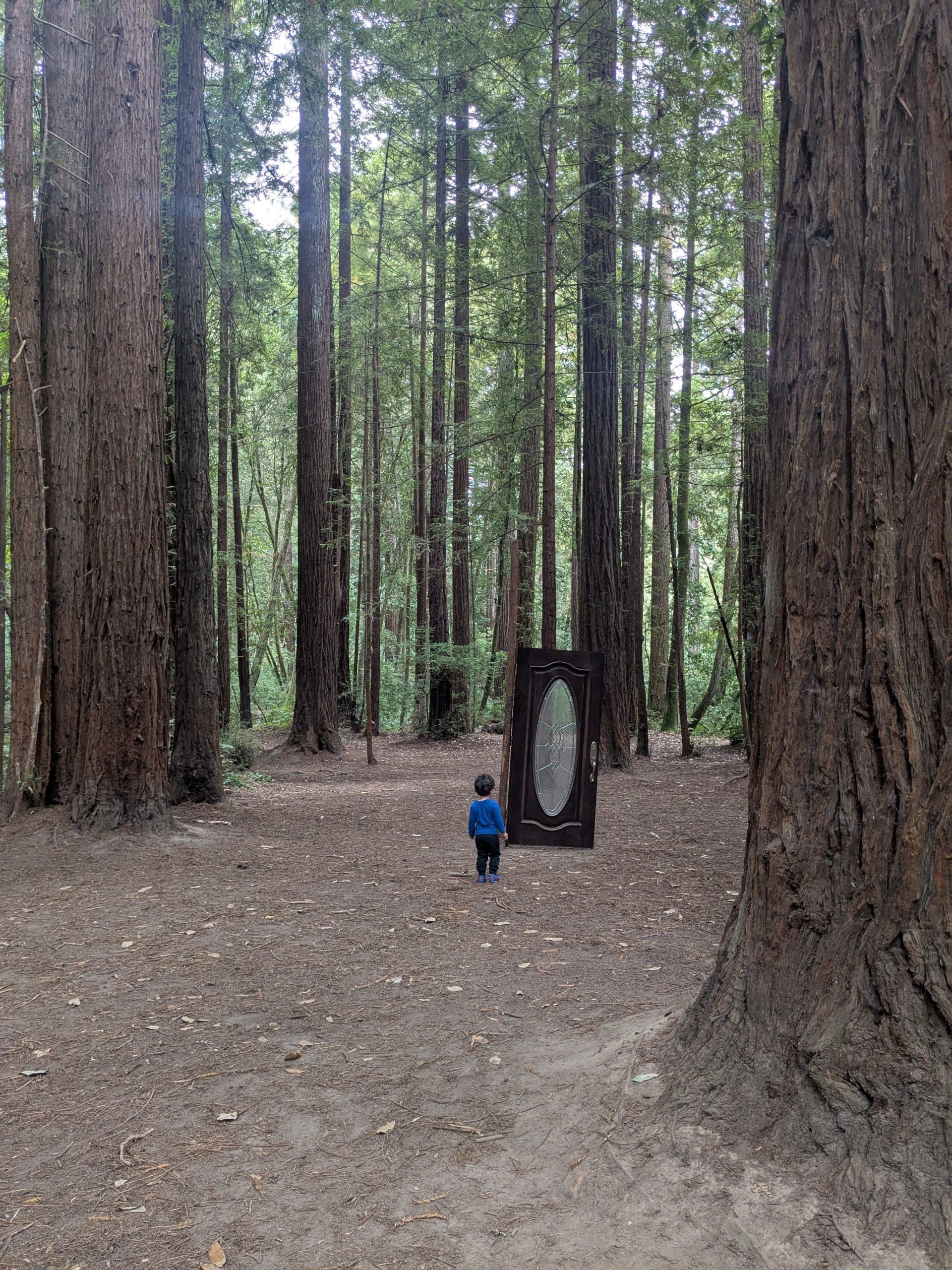 An image of a small person preparing to walk through a door in a forest grove. Its purpose is to symbolize what it might be like to grow a bigger, broader life that's more connected with nature after entering through the door of somatic coaching sessions. Copyright 2026 by Stephen Peterson, photographer